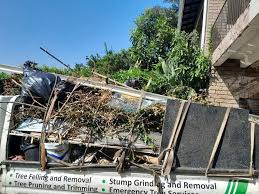 Best Same-Day Junk Removal Services  in Grape Creek, TX